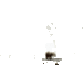 happy-elefant.gif